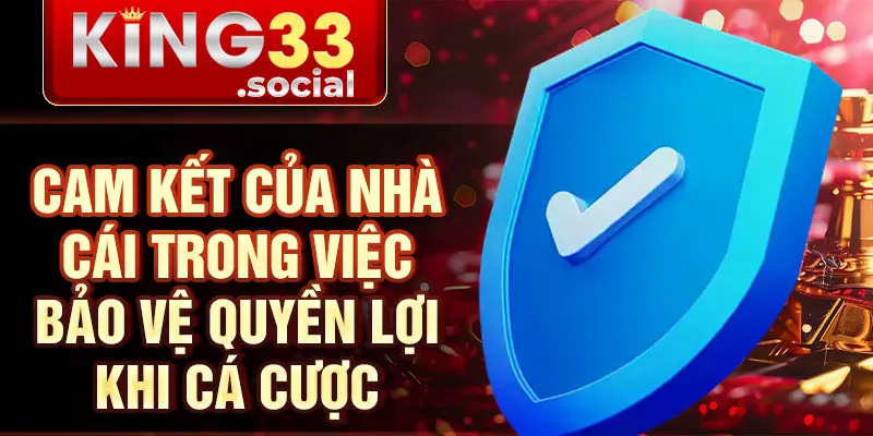 Cam kết của nhà cái trong việc bảo vệ quyền lợi khi cá cược
