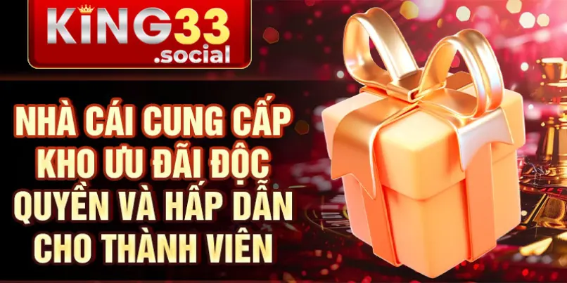 Nhà cái cung cấp kho ưu đãi độc quyền và hấp dẫn cho thành viên