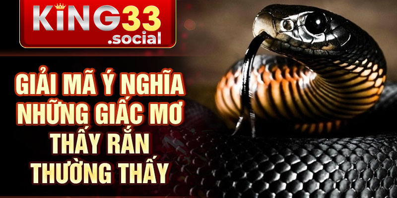 Giải mã ý nghĩa những giấc mơ thấy rắn thường thấy