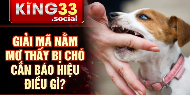 Giải mã nằm mơ thấy bị chó cắn báo hiệu điều gì?